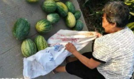 邳州吃瓜最新事件爆料,最新爆料揭示惊人内幕